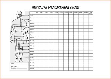 thick and fit measurements|muscle and strength body measurements.